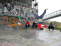 skill dealers crew