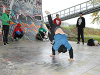 skill dealers crew