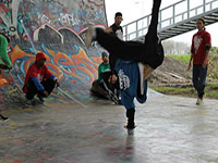 skill dealers crew